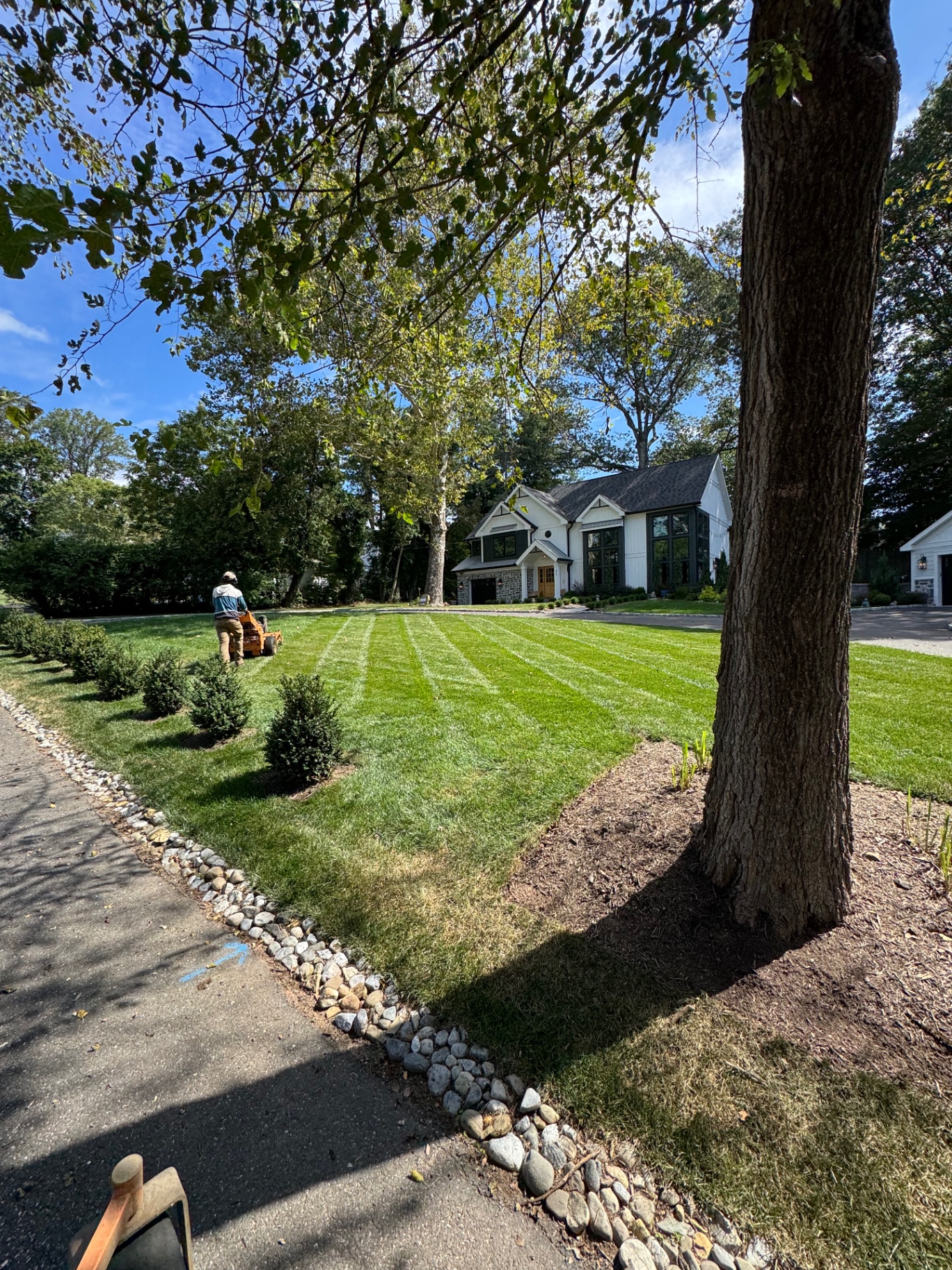 Fortress Landscaping crew member mowing a striped front lawn at a New Jersey property