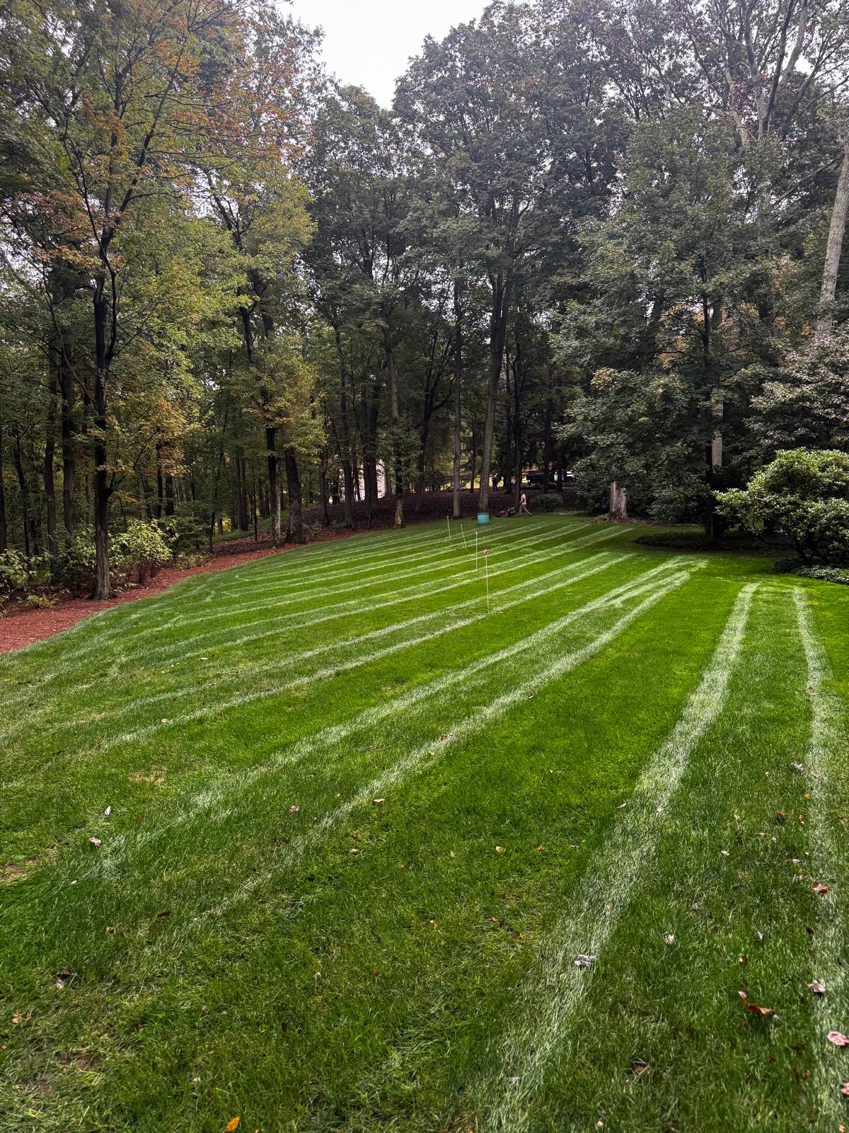 Striped backyard lawn edged with fresh mulch beds against a mature wooded tree line