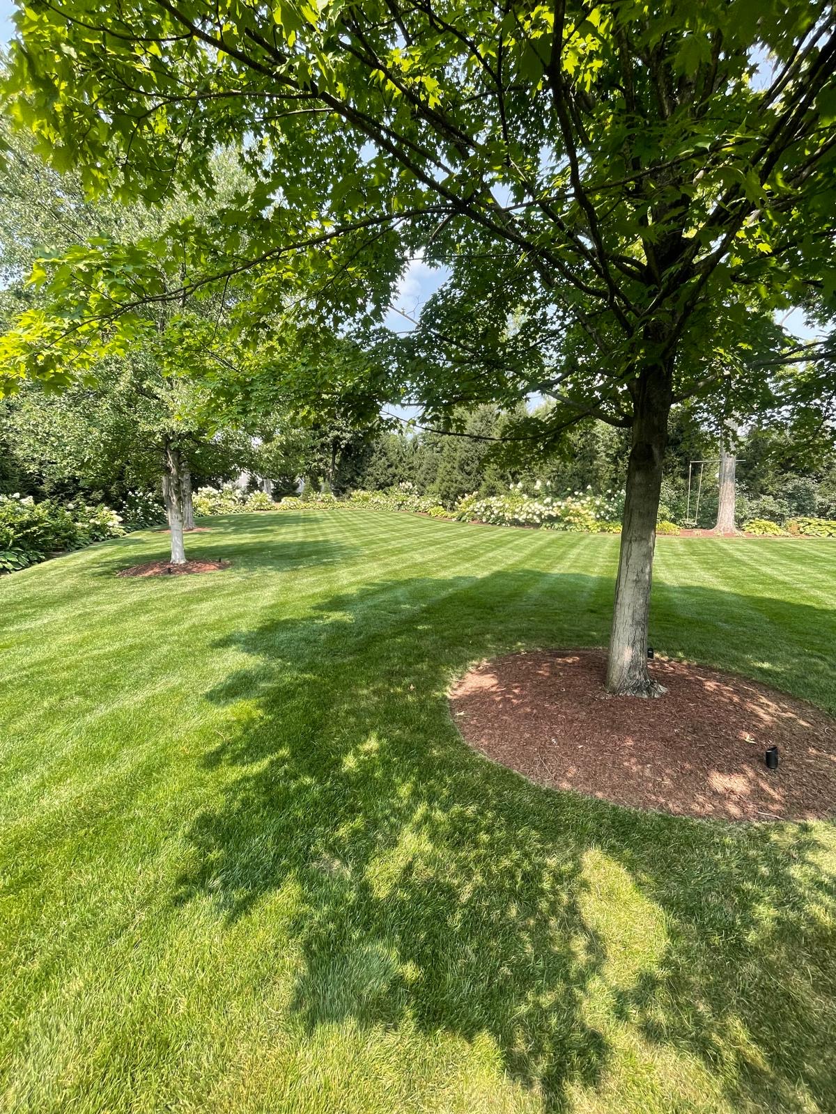 Raked pile of autumn leaves and a tarp on the lawn of a New Jersey colonial home