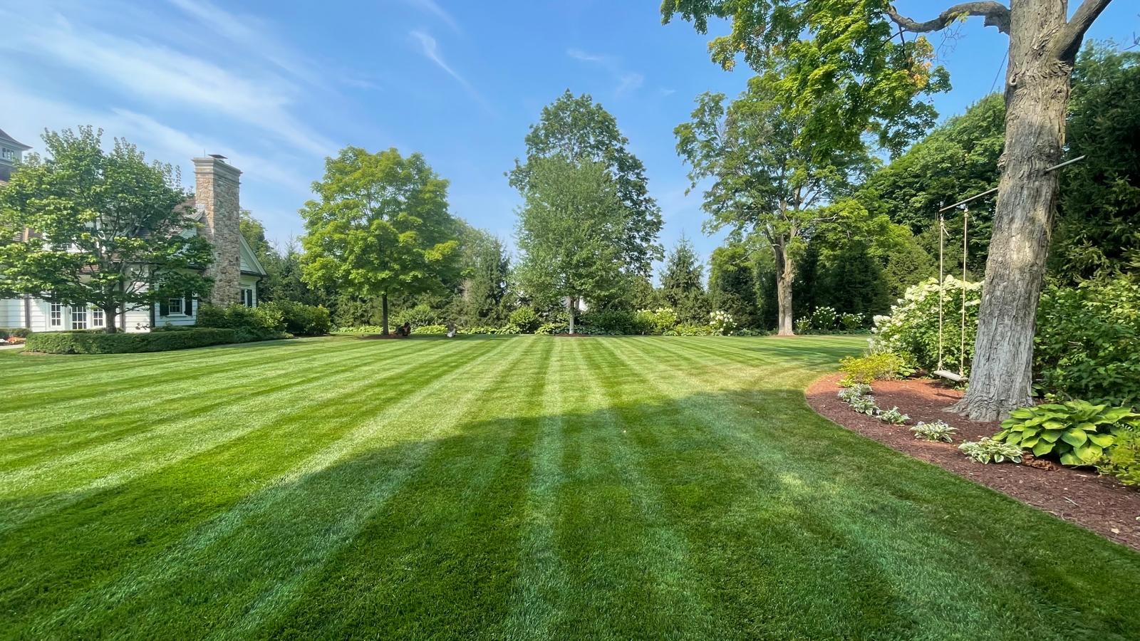 Broad estate lawn with crisp mowing stripes framed by mature shade trees and hosta beds